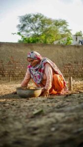 The story of village Palampur