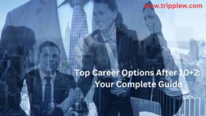 Top Career Options After 10+2: Your Complete Guide