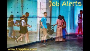 Latest Vacancies
