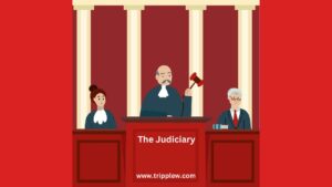 The Judiciary : Class 8 Civics